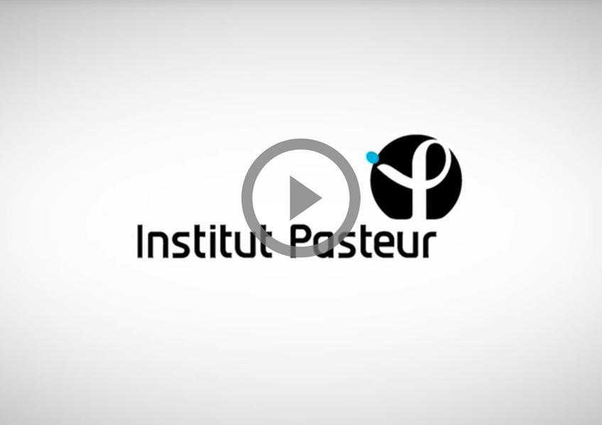 Institut Pasteur videos