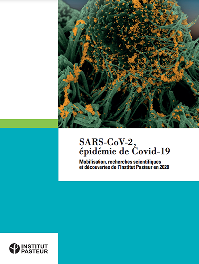 SARS-CoV-2 / Covid-19 : mobilisation, recherches scientifiques et découvertes de l’Institut Pasteur