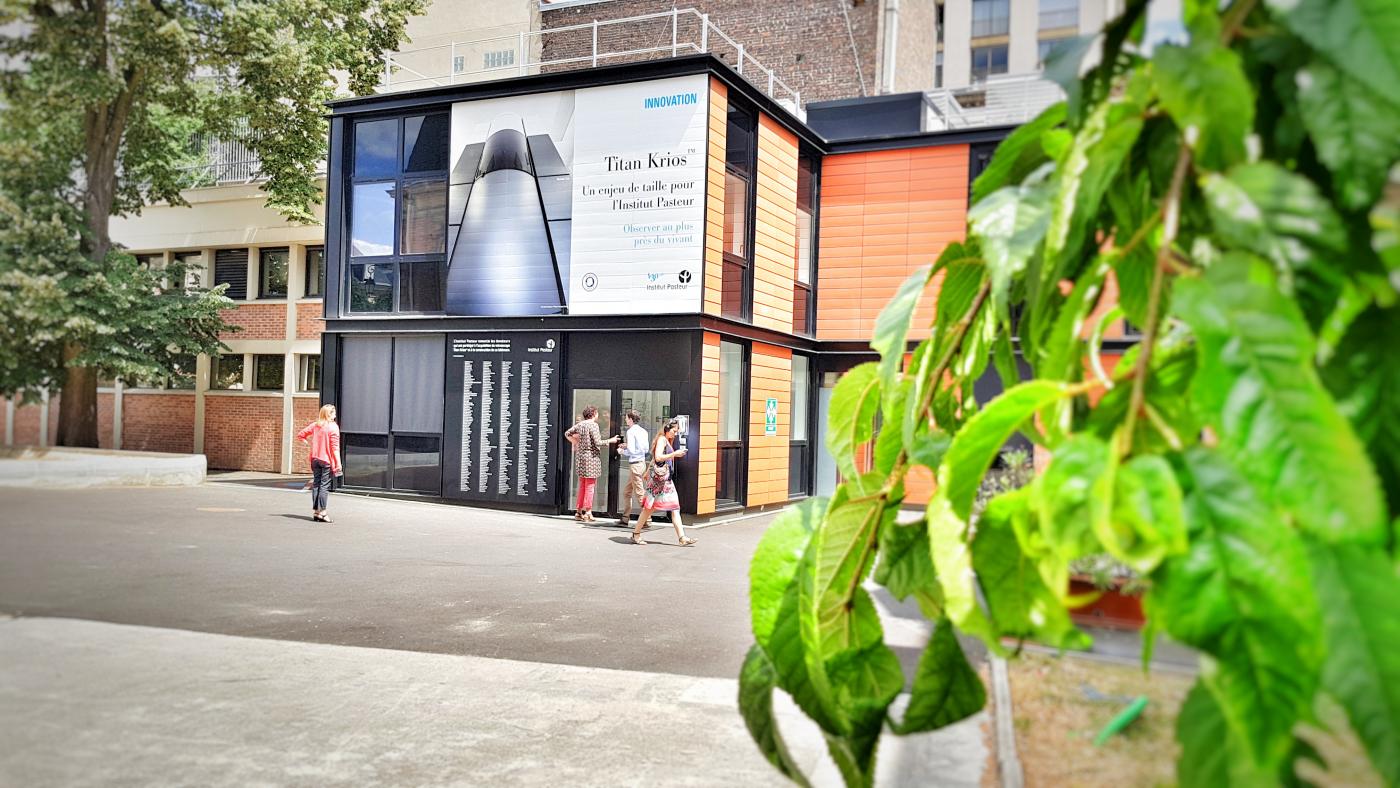 institut pasteur