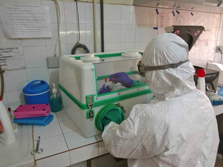 Ebola Guinée 2014 - Institut Pasteur