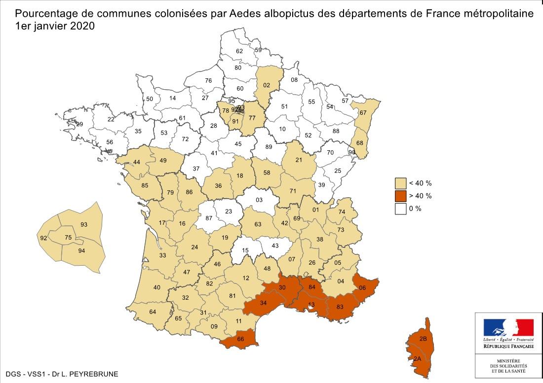 Aedes albopictus - Janvier 2020 - Institut Pasteur