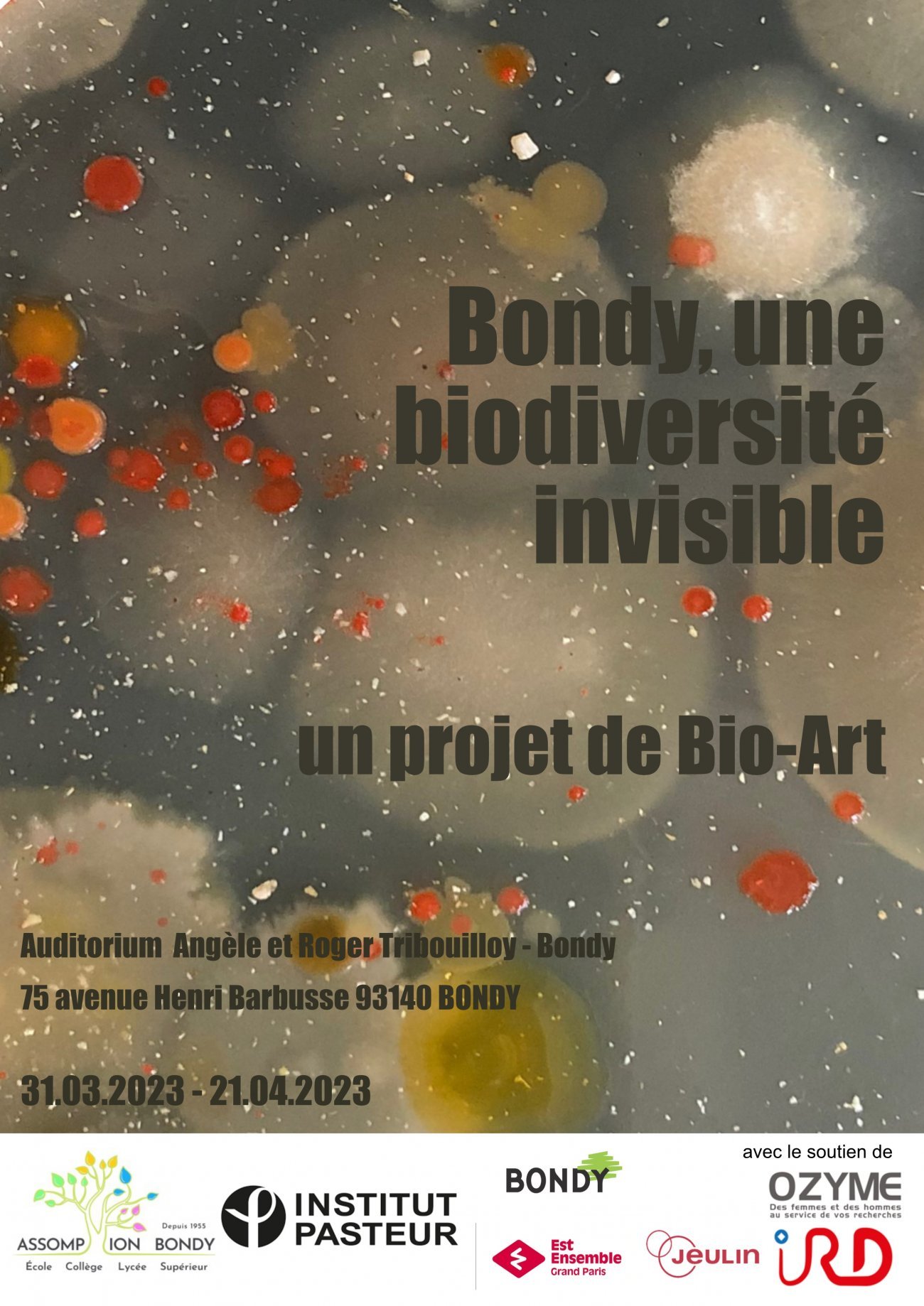 BioArt - Mediation scientifique - Institut Pasteur