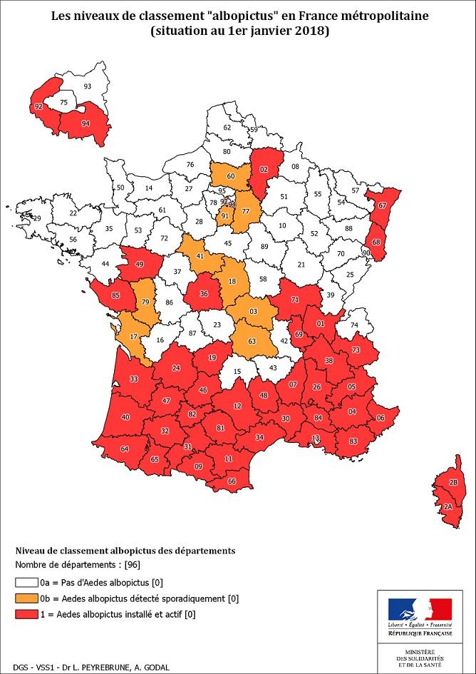 Le moustique tigre commence doucement à s'installer en Mayenne