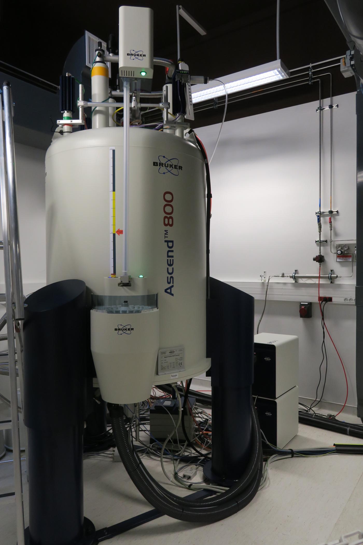 RMN 800 MHz - Institut Pasteur