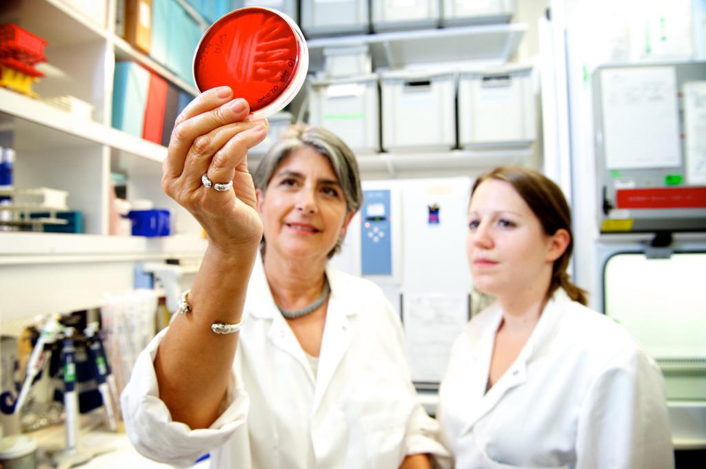 Bordetella pertussis - Institut Pasteur