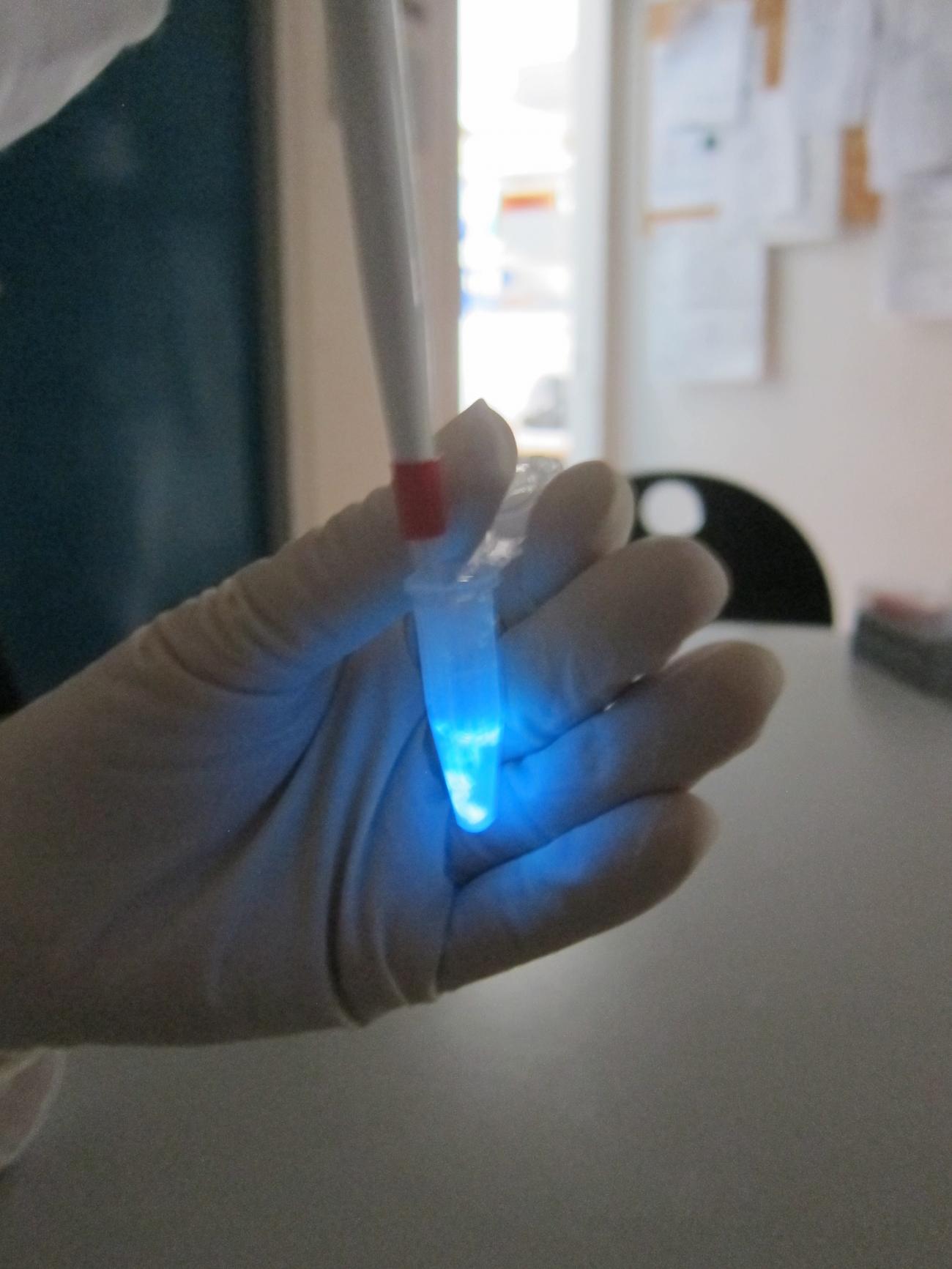 LuLISA project bioluminescence as a tool for human diagnostics