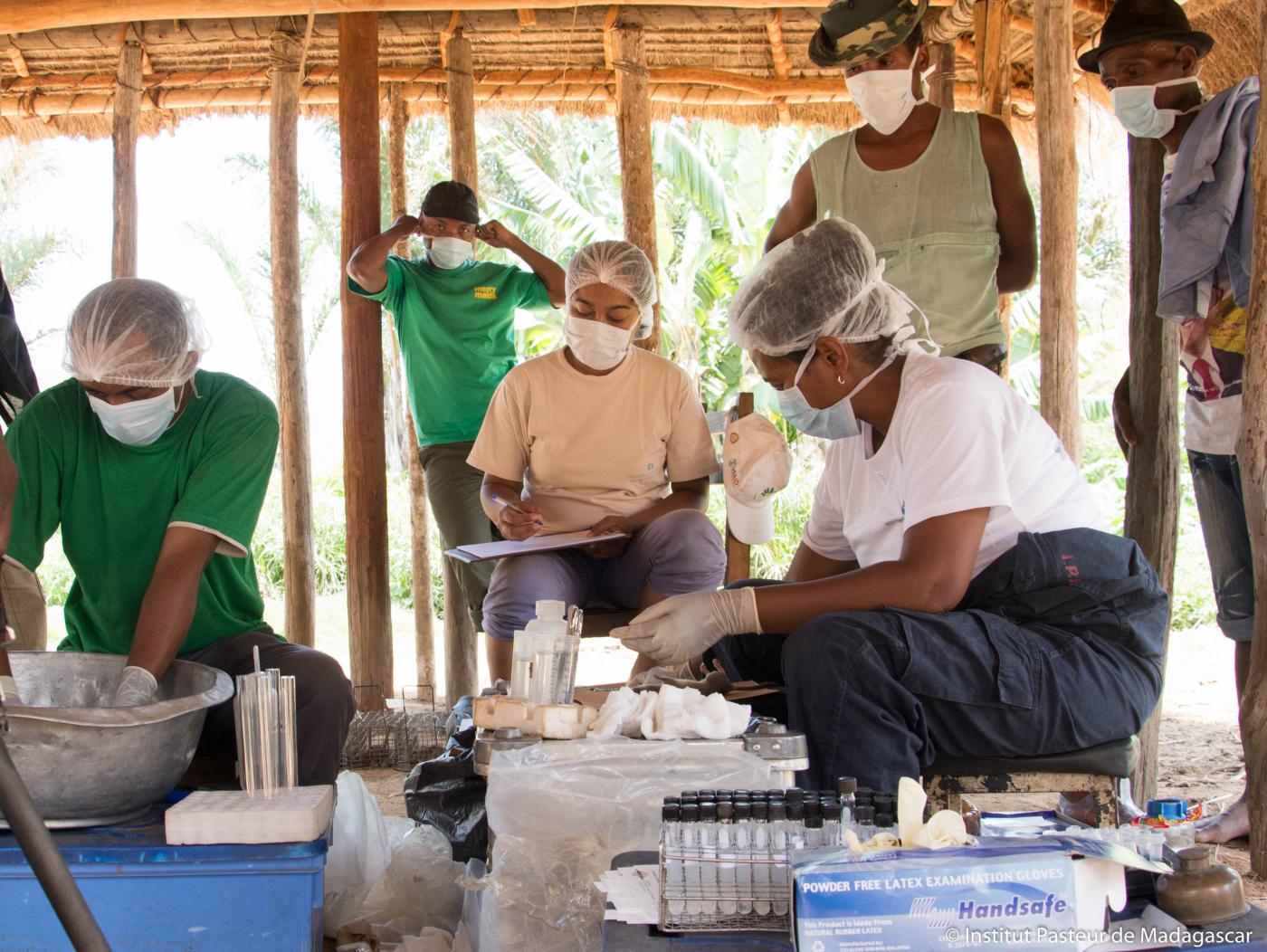 institut pasteur de Madagascar