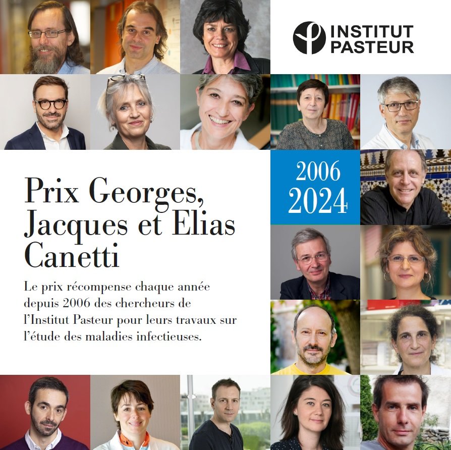 Institut Pasteur