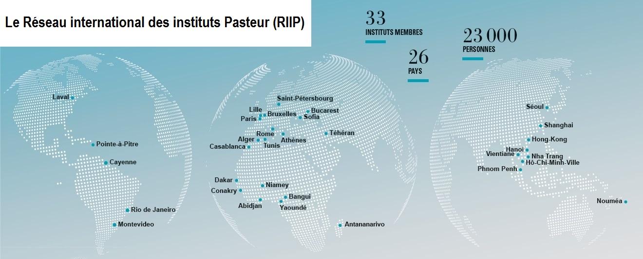 institut pasteur - réseau international
