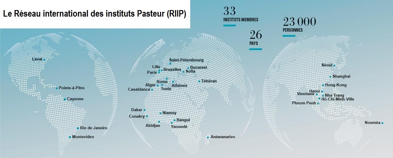 institut pasteur - réseau international institut pasteur - réseau international