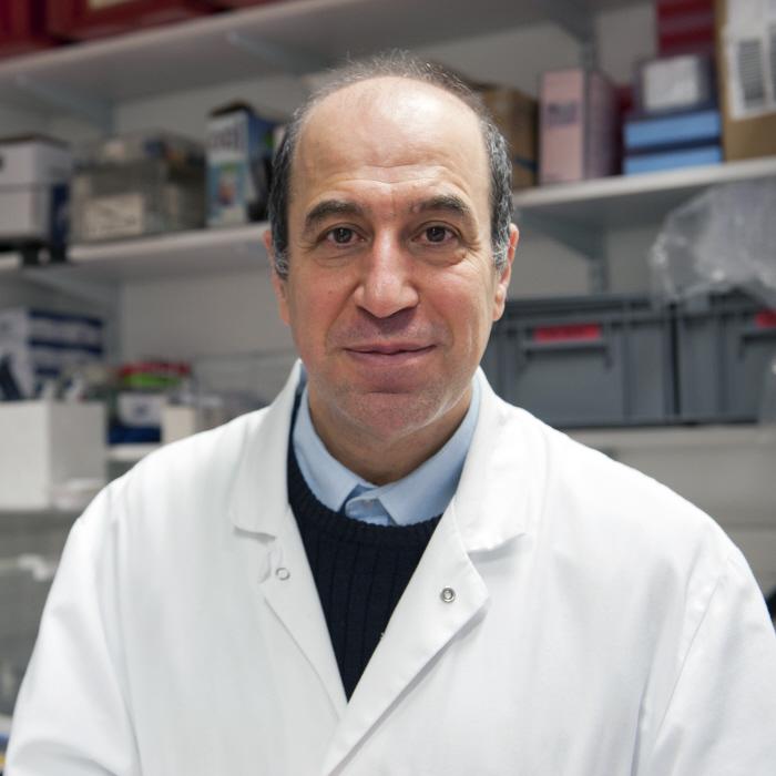Muhamed-Kheir TAHA - Institut Pasteur Muhamed-Kheir TAHA - Institut Pasteur