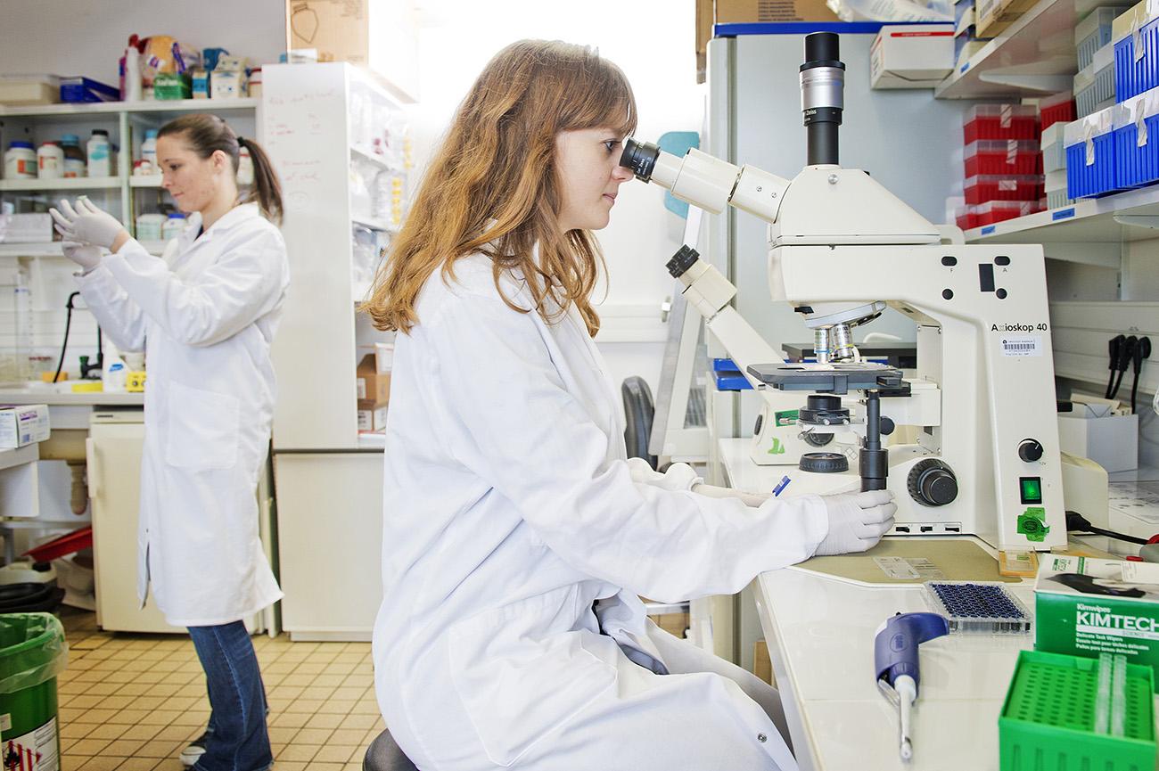 Reportage dans le laboratoire des Anticorps en thérapie et pathologie - Institut Pasteur