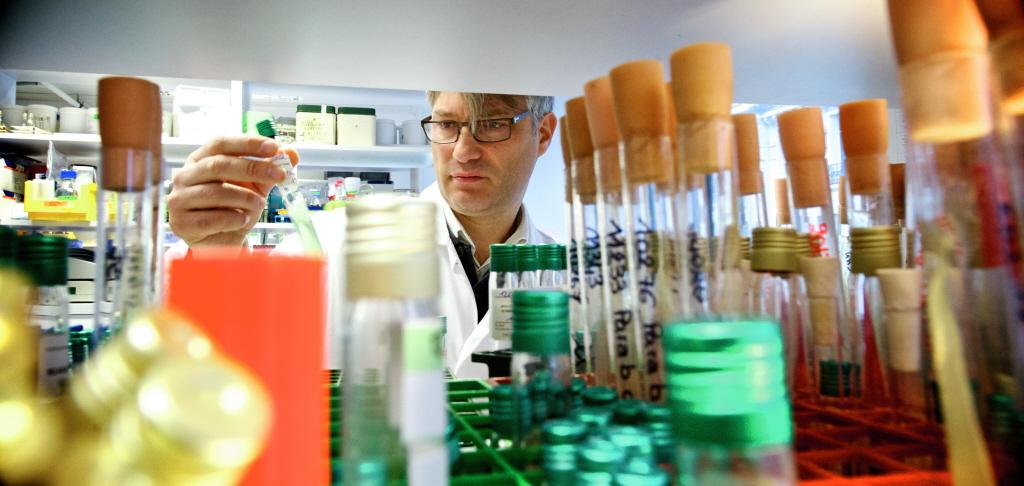 François-Xavier Weill - Institut Pasteur François-Xavier Weill - Institut Pasteur