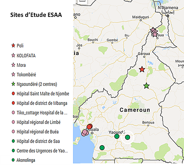 Site étude ESAA Cameroun