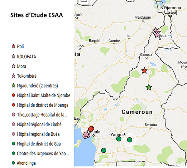Site étude ESAA Cameroun Site étude ESAA Cameroun