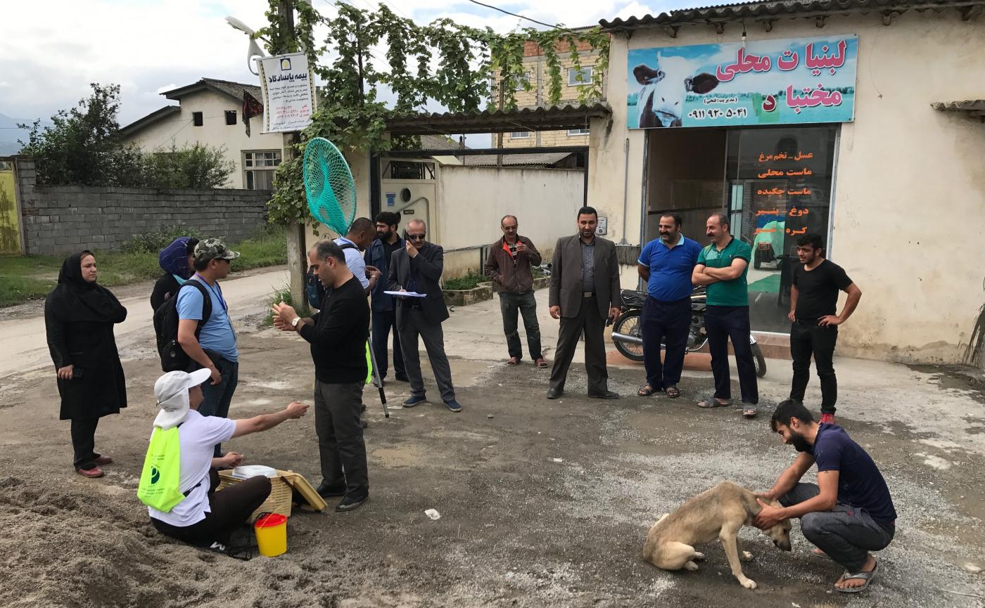 Institut Pasteur Iran - Cours Rage 2017 - crédit Hervé Bourhy Institut Pasteur Iran - Cours Rage 2017 - crédit Hervé Bourhy