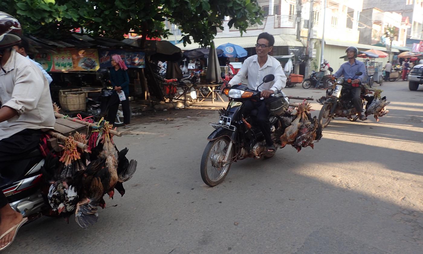 Marché aux volailles d'Orussey - Institut Pasteur du Cambodge