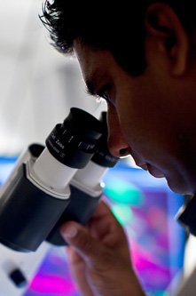 Chercheur au microscope
