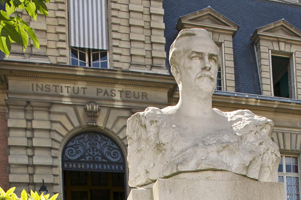 Notre gouvernance - Institut Pasteur