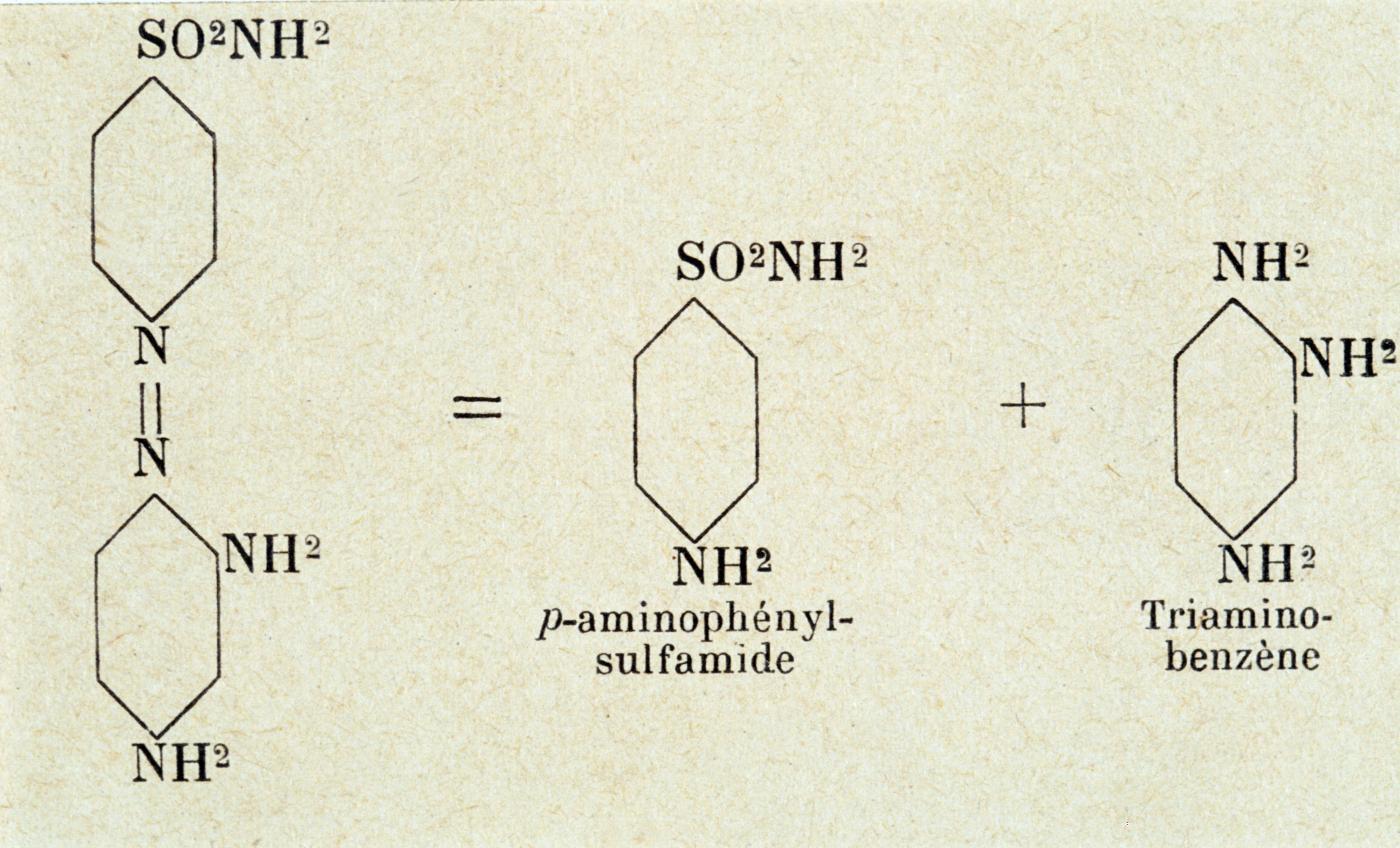 Travaux de Jacques Trefouël sur les sulfamides - Institut Pasteur