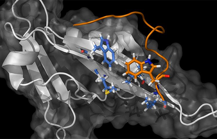 Cancer Initiative at the Institut Pasteur