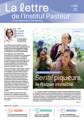 LIP - 132  Dossier spécial Serial piqueur a télécharger