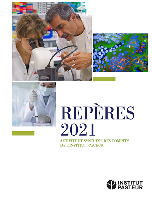 Synthèses des comptes de l'Institut Pasteur 2021 - Télécharger le fichier PDF