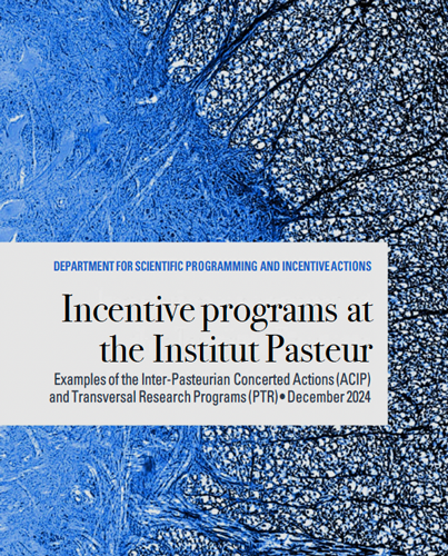 incentive-programs-2024-dec.