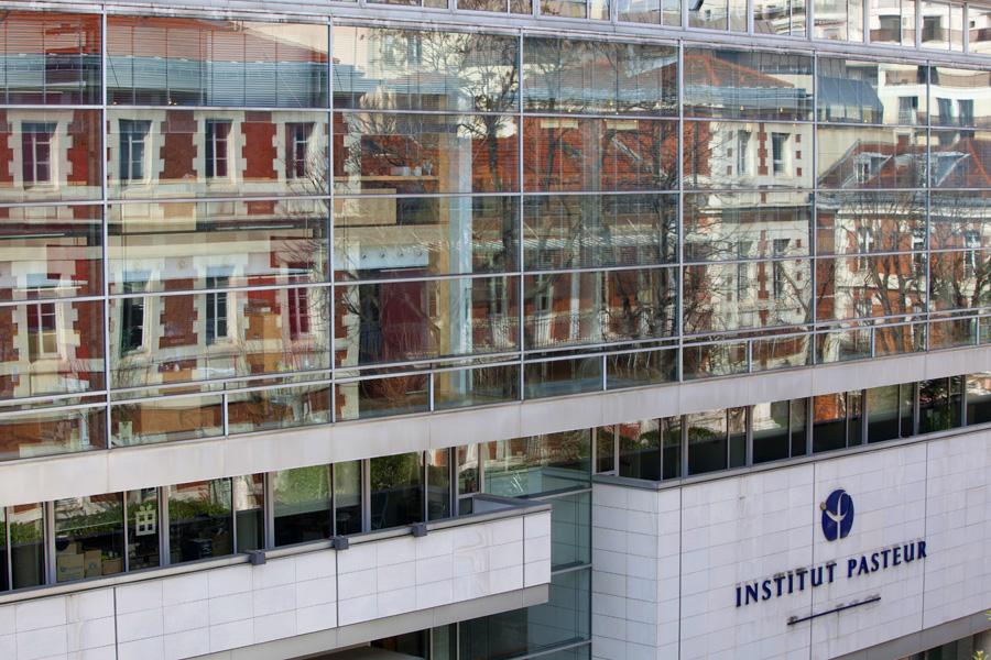 Appels à proposition internationaux de l’Institut Pasteur