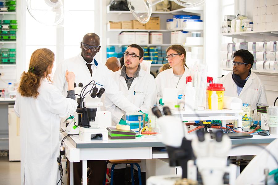 Institut Pasteur - International