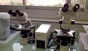 microscopes-cpc Action Mondiale Cameroun