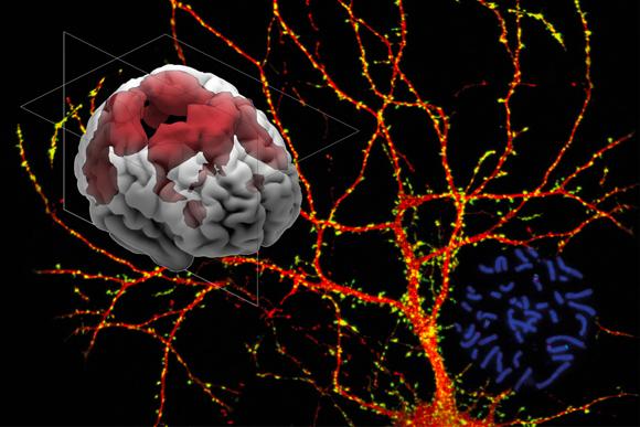 Ressources Scientifiques - Phototheque - Institut Pasteur
