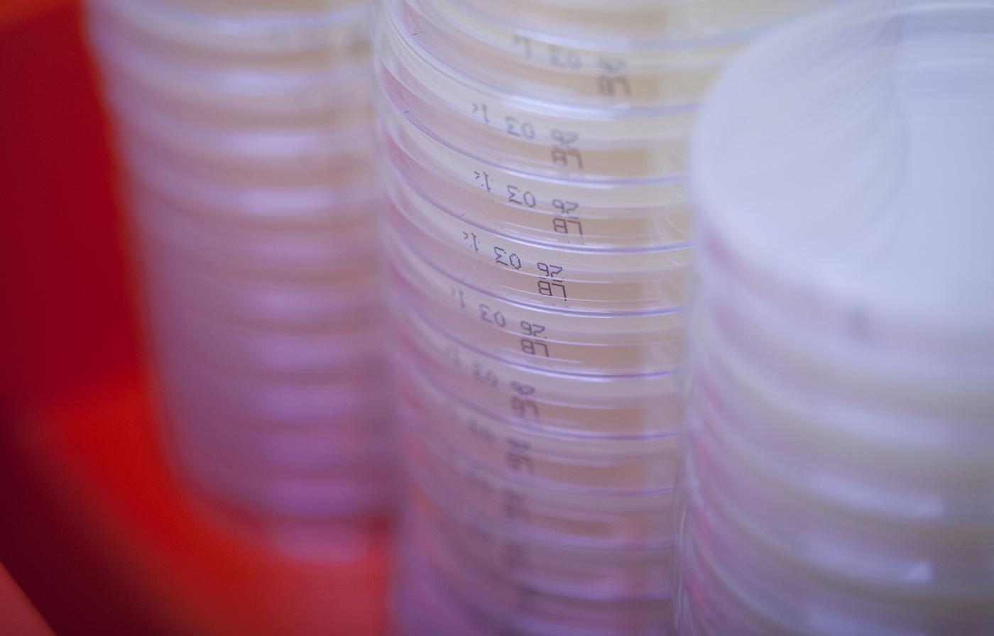Le CRBIP (Centre de Ressources Biologiques de l'Institut Pasteur) conserve des collections de matériels biologiques et les informations qui leur sont associées. Le CRBIP (Centre de Ressources Biologiques de l'Institut Pasteur) conserve des collections de matériels biologiques et les informations qui leur sont associées.