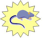 Pictogramme CNR Hantavirus - Institut Pasteur