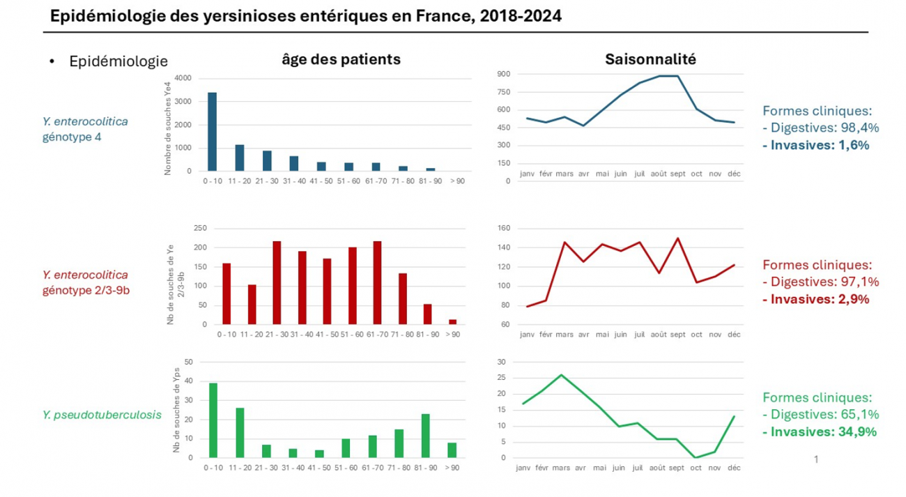 Yersionioses-enteriques-France