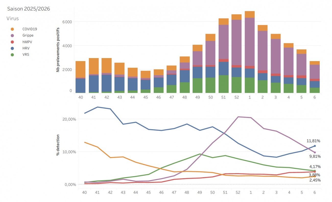Circulation des virus respiratoires données hospitalières S06_26