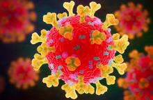 Coronavirus : toute l’actualité de l’Institut Pasteur sur COVID-19 - Institut Pasteur