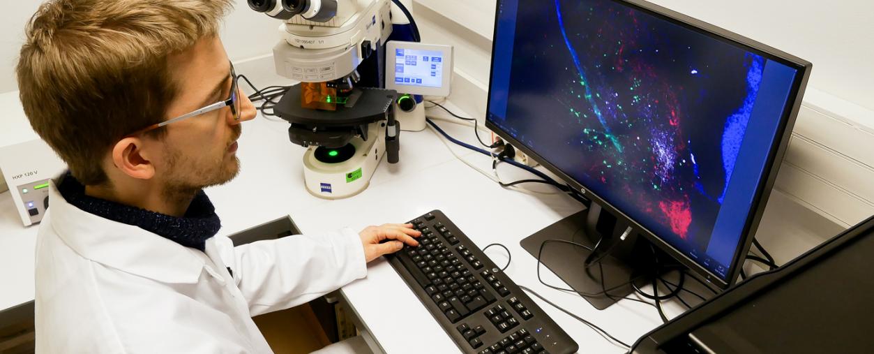 Dans le laboratoire de Gérard Eberl - Institut Pasteur