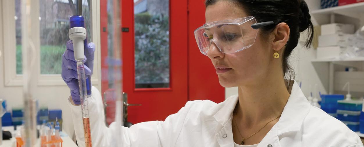 Dans le laboratoire de Gérard Eberl - Institut Pasteur