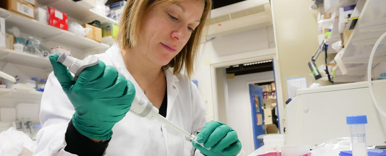 Dans le laboratoire de Gérard Eberl - Institut Pasteur