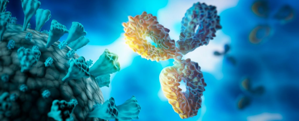 système immunitaire