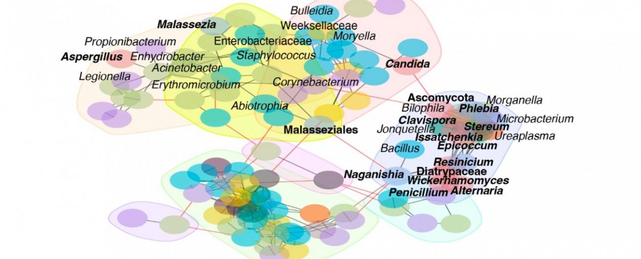 Comment le microbiome des voies respiratoires influence la gravité des pneumonies bactériennes