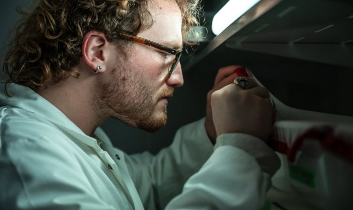 Reportage dans l'unité Arbovirus et Insectes Vecteurs (AIV). Phase aquatique de l’élevage de moustiques : observation des larves.