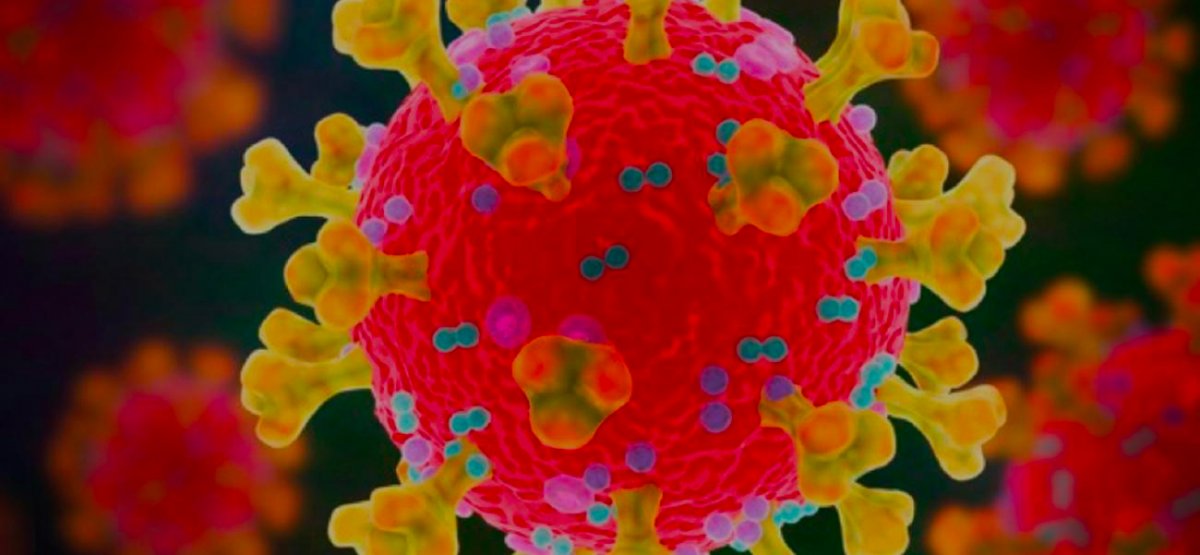 Coronavirus, Covid-19, Sars-CoV-2 : toutes nos informations : Institut Pasteur