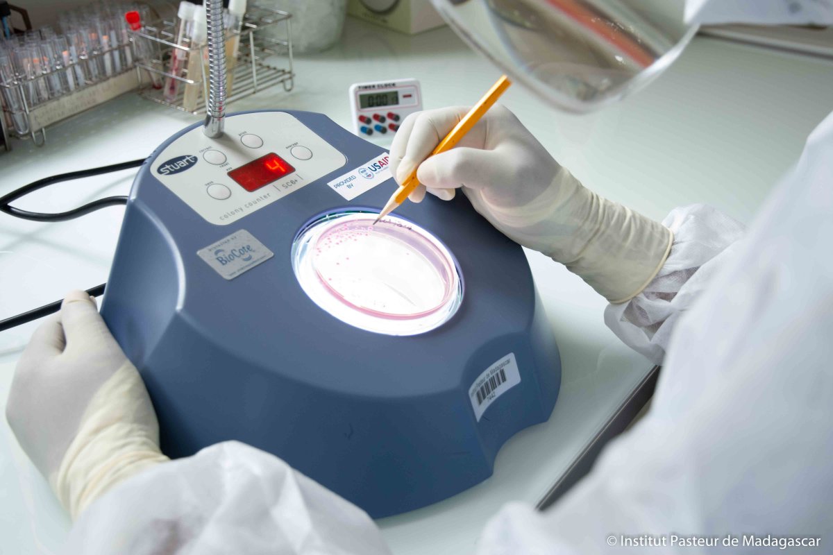 L Epidemie De Peste Pulmonaire De 2017 A Madagascar Caracterisee Par Les Chercheurs Institut Pasteur