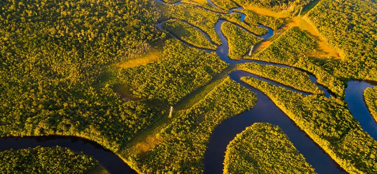 Partir au Gabon : informations et vaccins voyage