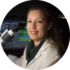 Lida Katsimpardi chercheuse en neuroscience dans l’unité Perception et mémoire dirigée par Pierre-Marie Lledo Lida Katsimpardi chercheuse en neuroscience dans l’unité Perception et mémoire dirigée par Pierre-Marie Lledo