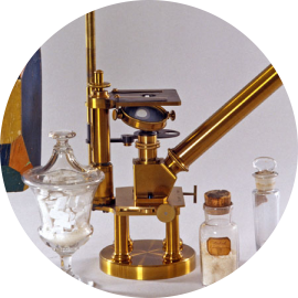 Chronologie de Louis Pasteur