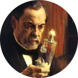 Type Pasteur — Wikipédia