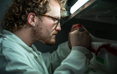 Reportage dans l'unité Arbovirus et Insectes Vecteurs (AIV). Phase aquatique de l’élevage de moustiques : observation des larves.